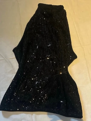 Svart glittrig polotopp - Snygg svart polotopp med glittriga paljetter som ger ett riktigt statement. Toppen har en hög krage och är ärmlös, perfekt för att sticka ut. Materialet känns mjukt och stretchigt, vilket gör den bekväm att bära. Perfekt för dig som vill glänsa lite extra.