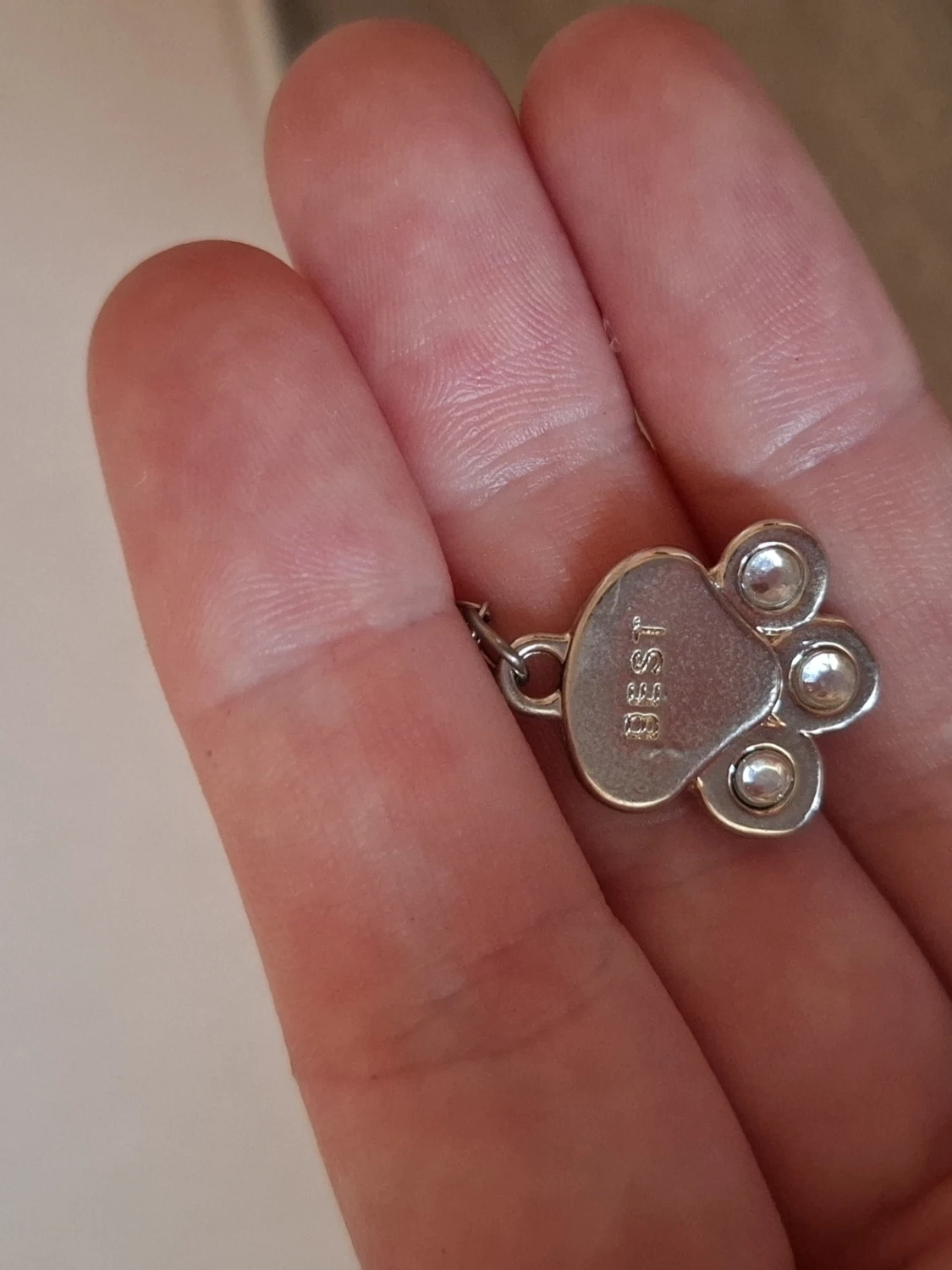 Halsband med tassberlock och text
