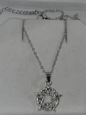 Silverfärgat halsband med pentagram - Snyggt halsband i silverfärgat rostfritt stål med en detaljrik pentagramberlock. Kedjan är tunn och har ett klassiskt lås. Berlocken har en rund form med en femuddig stjärna i mitten och små pärlliknande detaljer längs kanten. Perfekt för dig som gillar alternativ stil. Hänget är ca 2 cm och kedjan 45 cm.