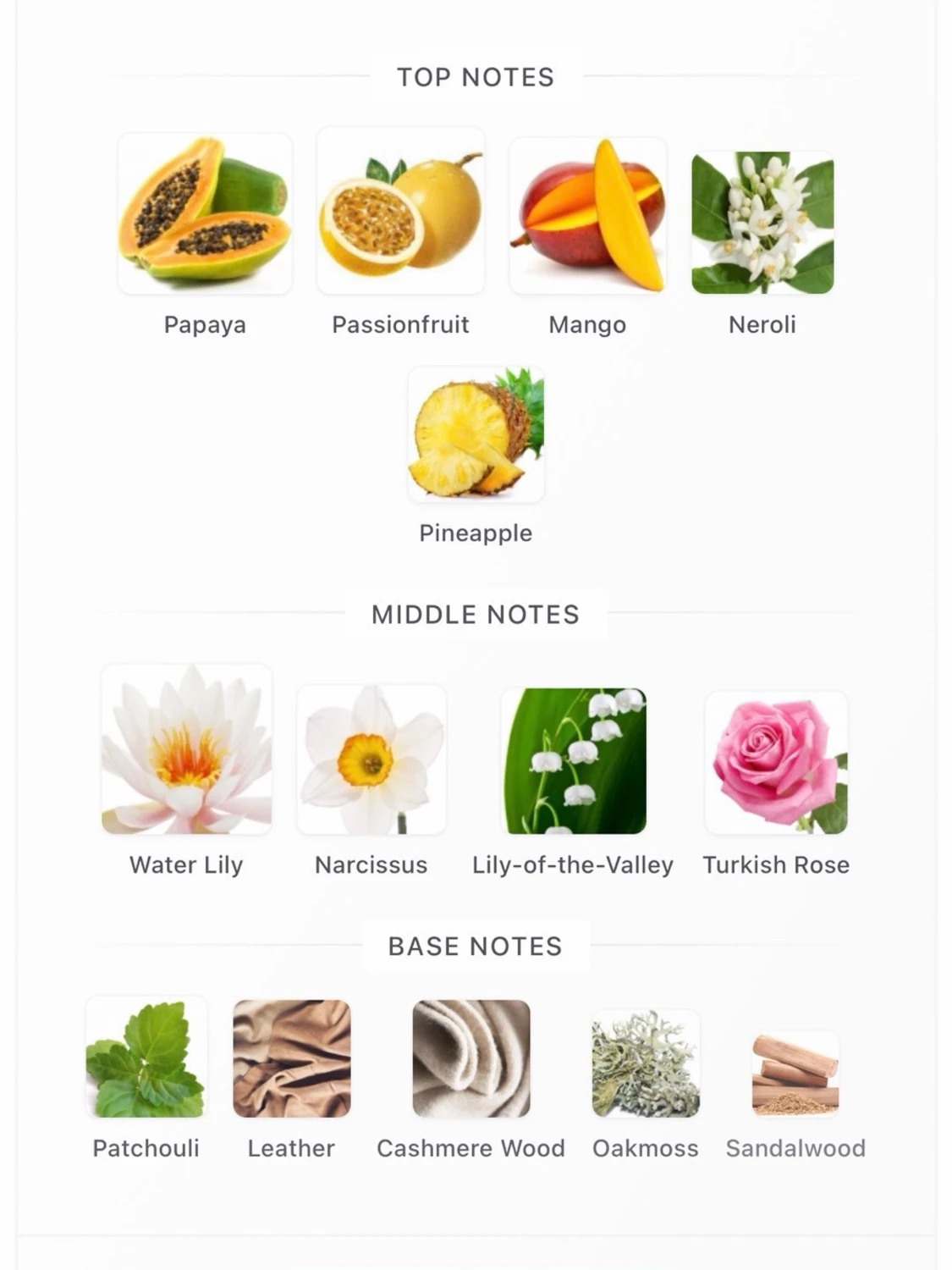 V Canto Cianuro Parfym 100ml Sample 60kr/ml - 1