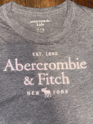 Abercrombie & Fitch T-shirt - Grå t-shirt med rosa tryck. Passar storlek xs.🩷