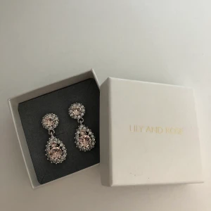 Lily&Rose örhängen  - Örhängen från Lily&Rose i rosa och silver. Nästintill aldrig använda. Matchande halsband finns i annan annons. PAKETPRIS med halsbandet kan ordnas!!! Frågor? Kontakta mig direkt! 🥰 Köparen står för frakten 