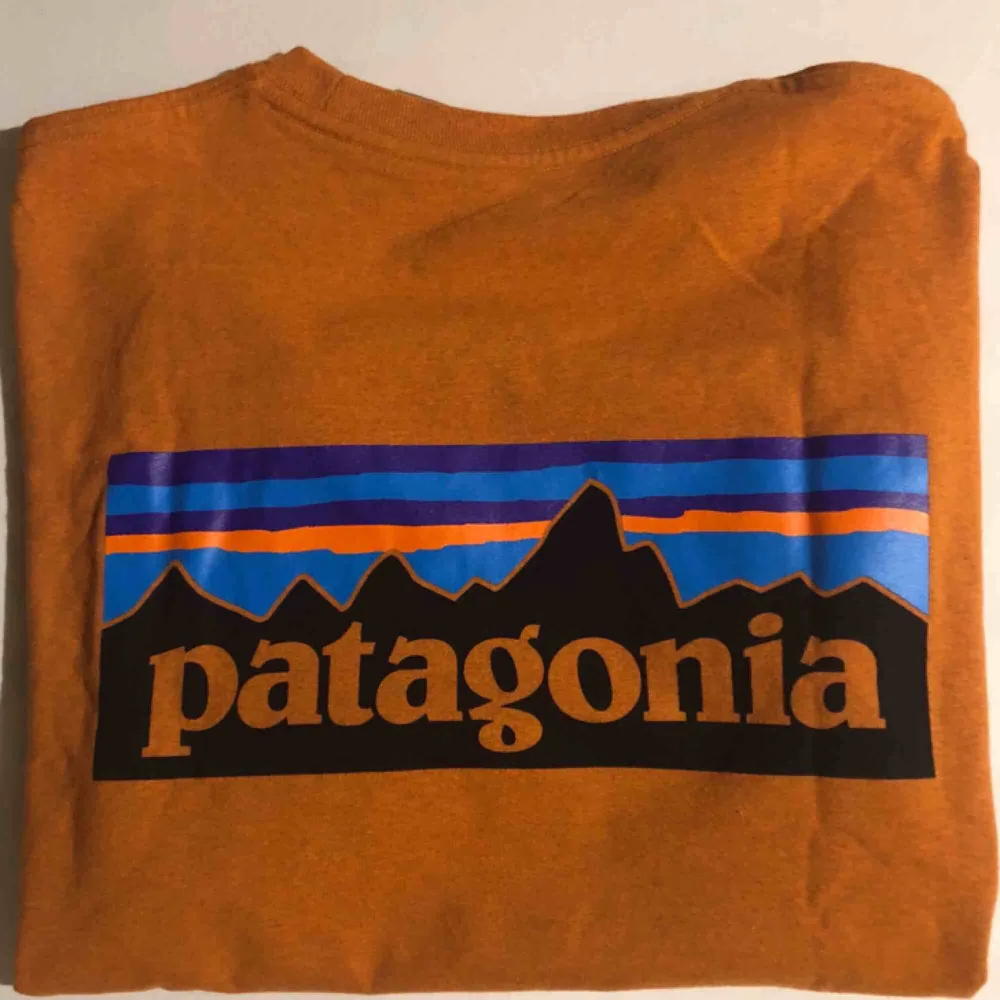 Sprillans ny t-shirt i återvunna fibrer, från Patagonia (herr-storlek)! Nypris ca 300kr. Färgen är mörk orange - alltså lite mörkare än en ekologisk morot! 🥕  290kr för tröjan, 50kr i frakt. . T-shirts.