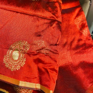 Indian Sharee - Nästan oanvänd