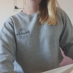 Fin tröja från brandy - Croppad tröja från brandy melville. Väl använd, säljes därför billigt. Skulle säga att den är som en s i storleken. Frakr är inkluderat i priset🖤