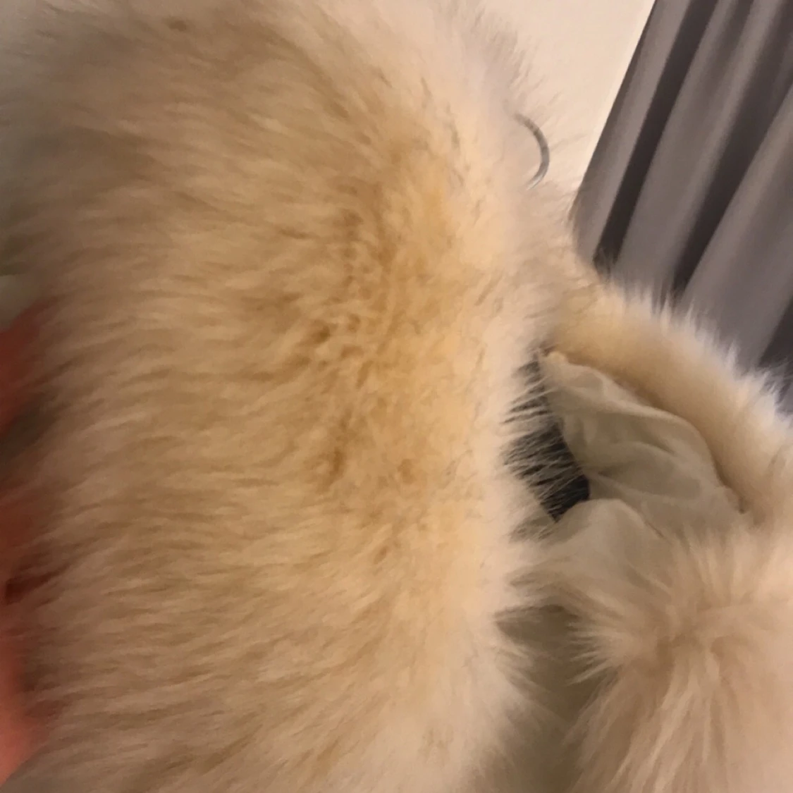 Jacka med päls  - 90