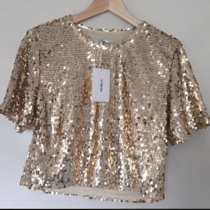  - Storlek XS Riktigt snygg glitter topp från Ivyrevel. ALDRIG ANVÄND  Kan mötas upp i centrala Uppsala. Vid försändelse tillkommer frakt. Varan ligger ute på andra sidor/appar också.