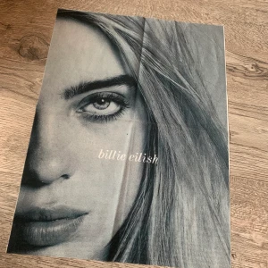 Billie Eilish tavla - Fina Billie Eilish tavlor i tyg, 30x40. 50 kr st ✨