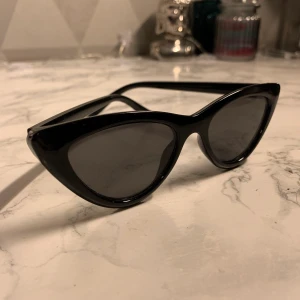 solgalsögon  - Snygga catsolglasögon