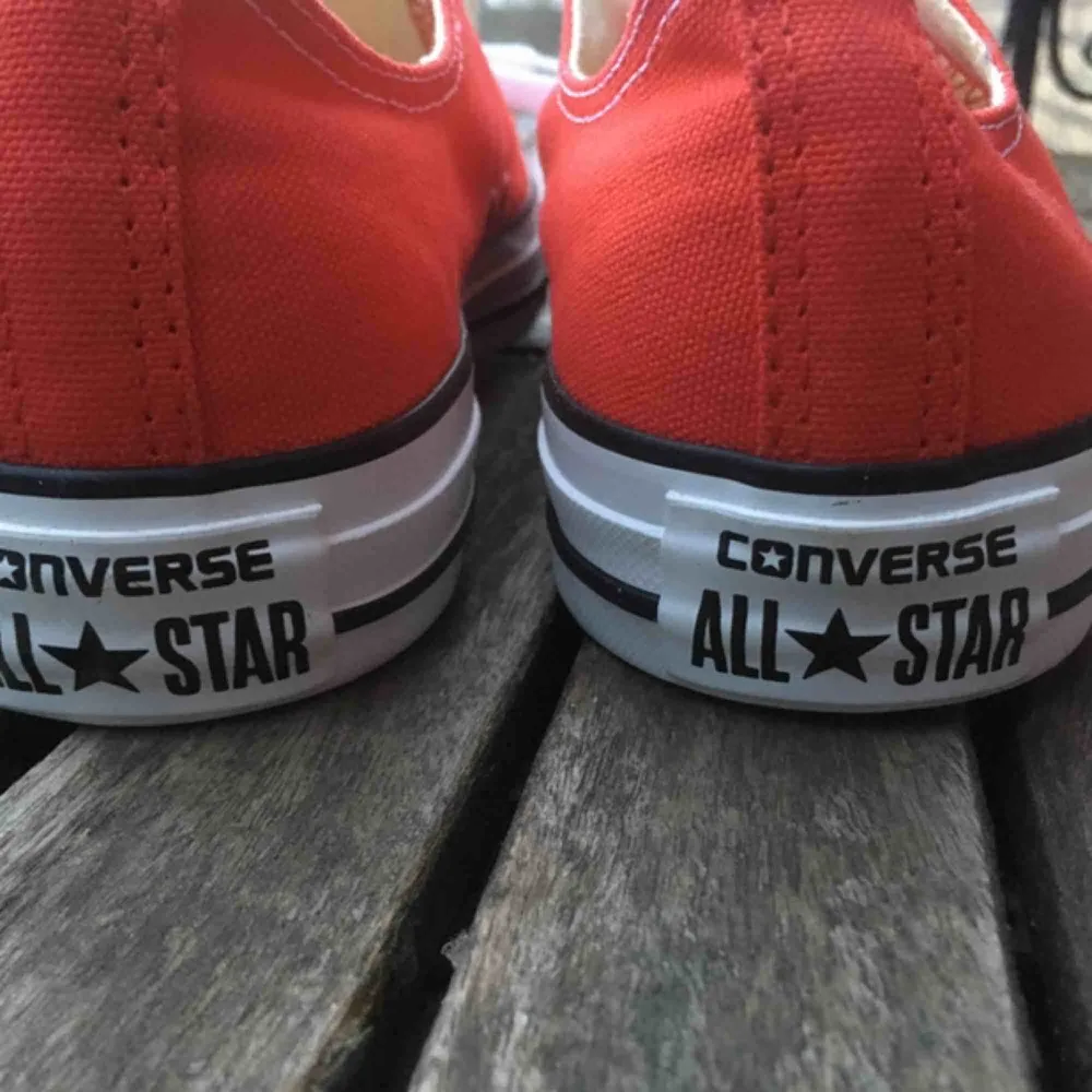 Ett par röda converse skor i storlek 39,5. Aldrig kommit till användning, jättefint skick och bra kvalite . Skor.