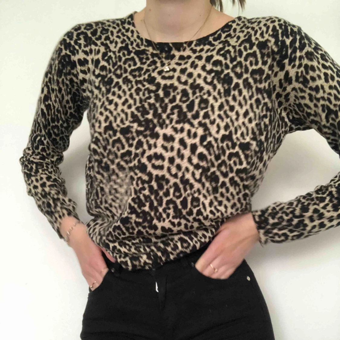 Leopard - 90