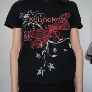 Kebnekajse-tröja - Bandtröja med det gamla proggbandet Kebnekajse! Köpt av trummisen själv. Nåt för den med bra musiksmak ELLER kanske bergsbestigaren? Bra skick. 