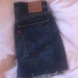 En jeans kjol (levis), köpt för 600kr och den är helt oanvänd.