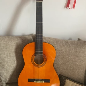 Eko gitarr  - Har bara stått hemma 