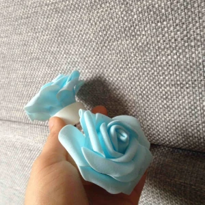  - Två stycken lampor som ser ut som rosor. De är små men fina. Lyser i alla olika färger och skiftar färg. 