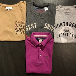 Olika T-shirts - Olika T-shirts 164, nån är 170 men hade sagt alla är 164 trots allt, 30kr st. Alla är i bra skick, utan fläckar och skit:)