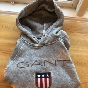 Grå gant hoodie - Köpare står för frakt