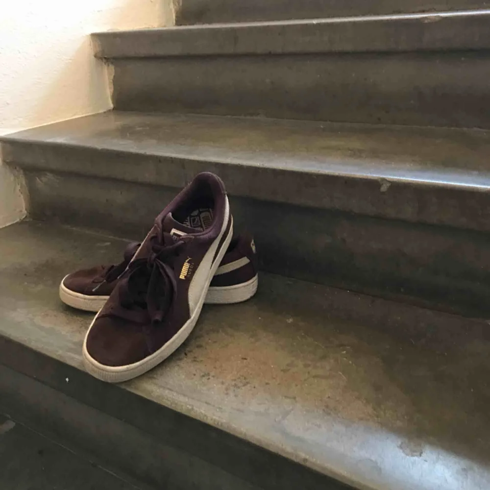 Puma suede skor! Säljer pga använder aldrig ❤️ väldigt bra skick!. Skor.