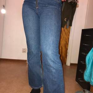Jättefina highwaist bootcut jeans från hm i strl 28, passar strl S. Knappt använda och köpta för ca 1 år sedan. Modellen på bilden är 160cm lång. Kan mötas upp på Södermalm eller i Hägersten annars står köparen för frakt💞
