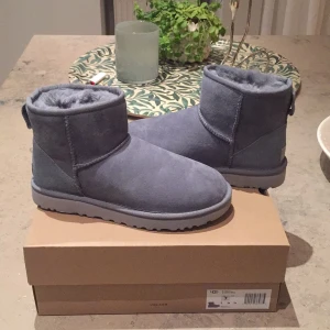 Ugg grå 38 - Säljer helt nya Uggs i den låga modellen. Kartong följer med, säljs då jag köpte fel storlek. 