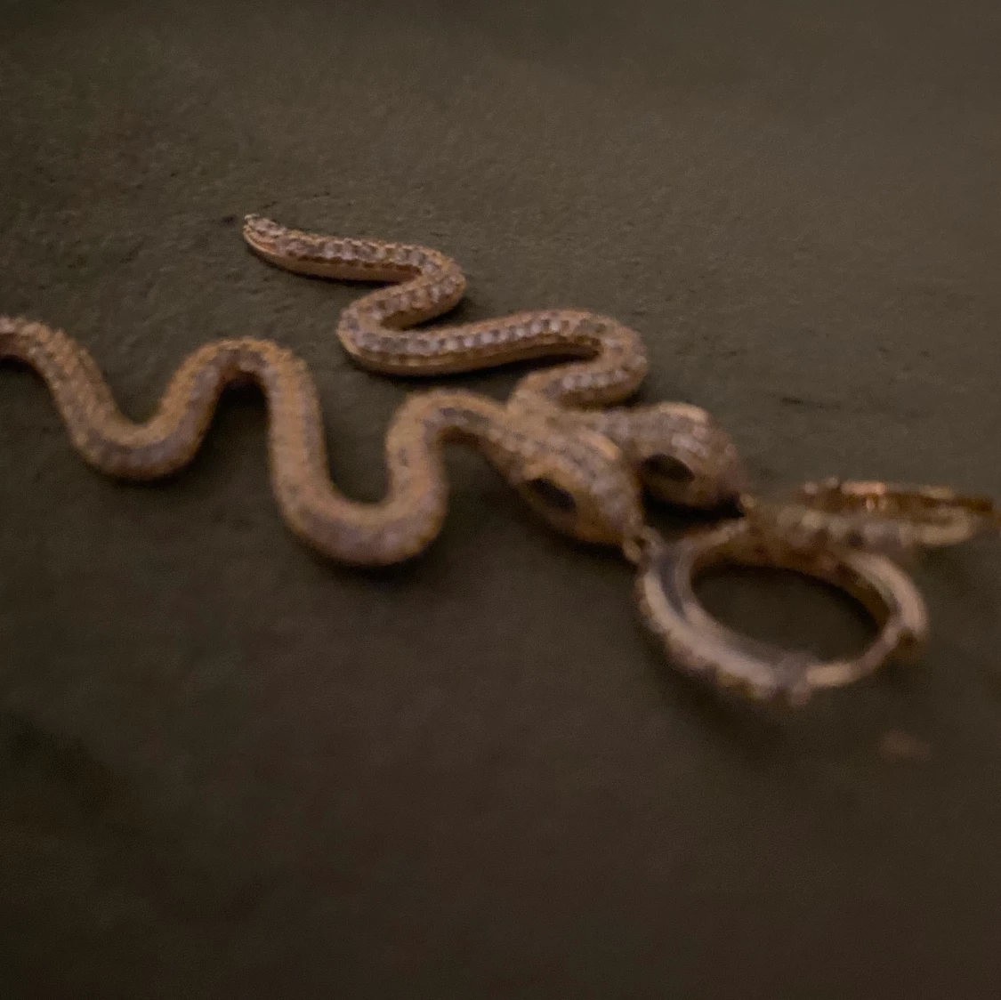 Fina orm örhängen - 91