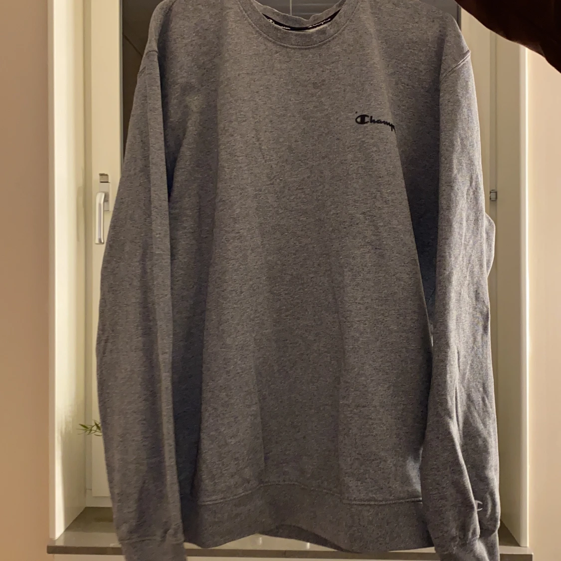 Champion sweatshirt