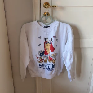 Skit snygg Disney sweatshirt  - Sweatshirt från zara i super bra skick andvänd endast 1 gång jag kan mötas upp i Stockholm eller skicka men isf står köparen för frakten🤗