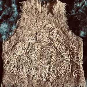 NY SNYGG ZARA SPETSTOPP STL 36 - Super fin topp från ZARA i stl 36. Dragkedja längs hela ryggen. Buda i kommentarerna om fler är intresserade. Hämtas eller skickas +porto. Finns fler foton!