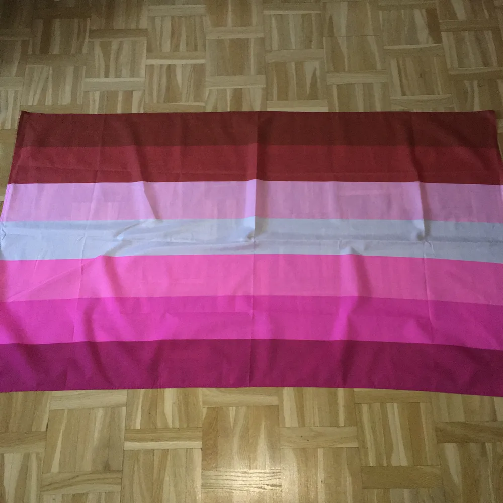 Fett cool och stor flagga med lesbiska färgerna med måtten 90x150. Fint skick förutom små hål från där jag satt upp den. Man kan till exempel ha den som en cape på Pride eller sätta upp den i sitt rum🍒. Övrigt.