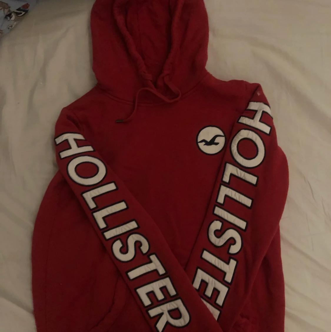 Hollister hoodie 