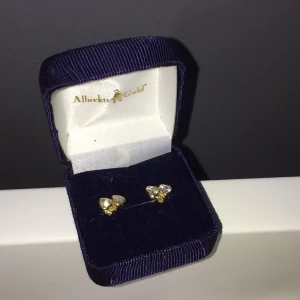 Sten hjärt örhängen  - Helt oanvända örhängen från Albrekts Guld. 