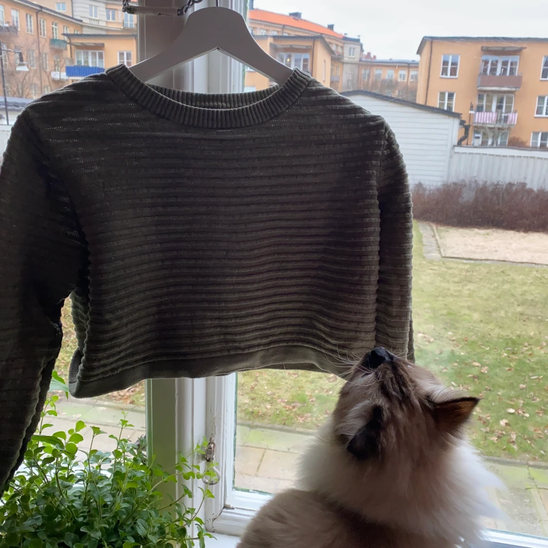 militärgrön tröja från h&m! 💚 - 91