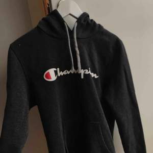 En champion hoodie som är köpt för ett tag sen som ej används. Den är lite kontrig men syns ej ifrån långt håll.  Frakt - gratis