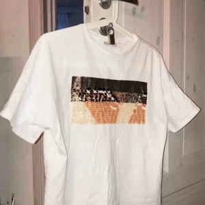  - En t-shirt (icket åtsittande, hyfsat kort) från zara. Knappt använd, väldigt fräsch och stilren.☀️🤩