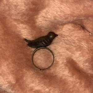 En fågel ring med justerbar storlek! 
