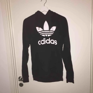  - Adidas hoodie 