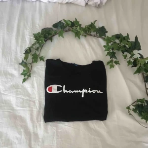  - Oanvänd championT-shirt ! Förtjänar ett bättre hem !! 