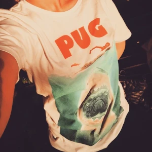  - Pug T-shirt ifrån caliroots store, använt endast få gånger.
