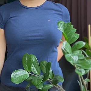 Tommy Hilfiger T-shirt - Blå, Buda gärna, högsta bud vinner!