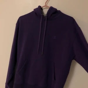purple champion hoodie - very comfy, barely worn. bought for 50$