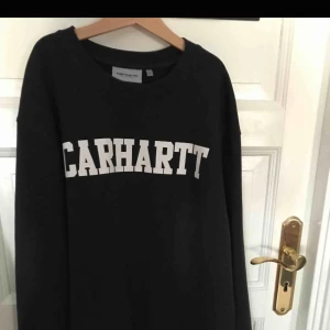  - Ny oanvänd sweatshirt från carhartt. Köpt på caliroots. Köparen står för frakten. Skriv om du undrar något!