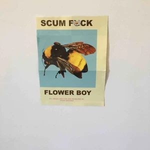  - Poster som kom med i Tyler the Creators vinyl av ”Flower boy”. Den var lite förstörd i kanterna så har klippt bort det :) eftersom det inte är ”hela postern” så kan priset diskuteras💖🥰