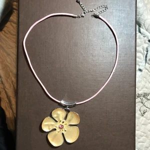  - Halsband. Kan mötas upp vid t-centralen eller Odenplan. Kan skicka via post,10kr på frakt