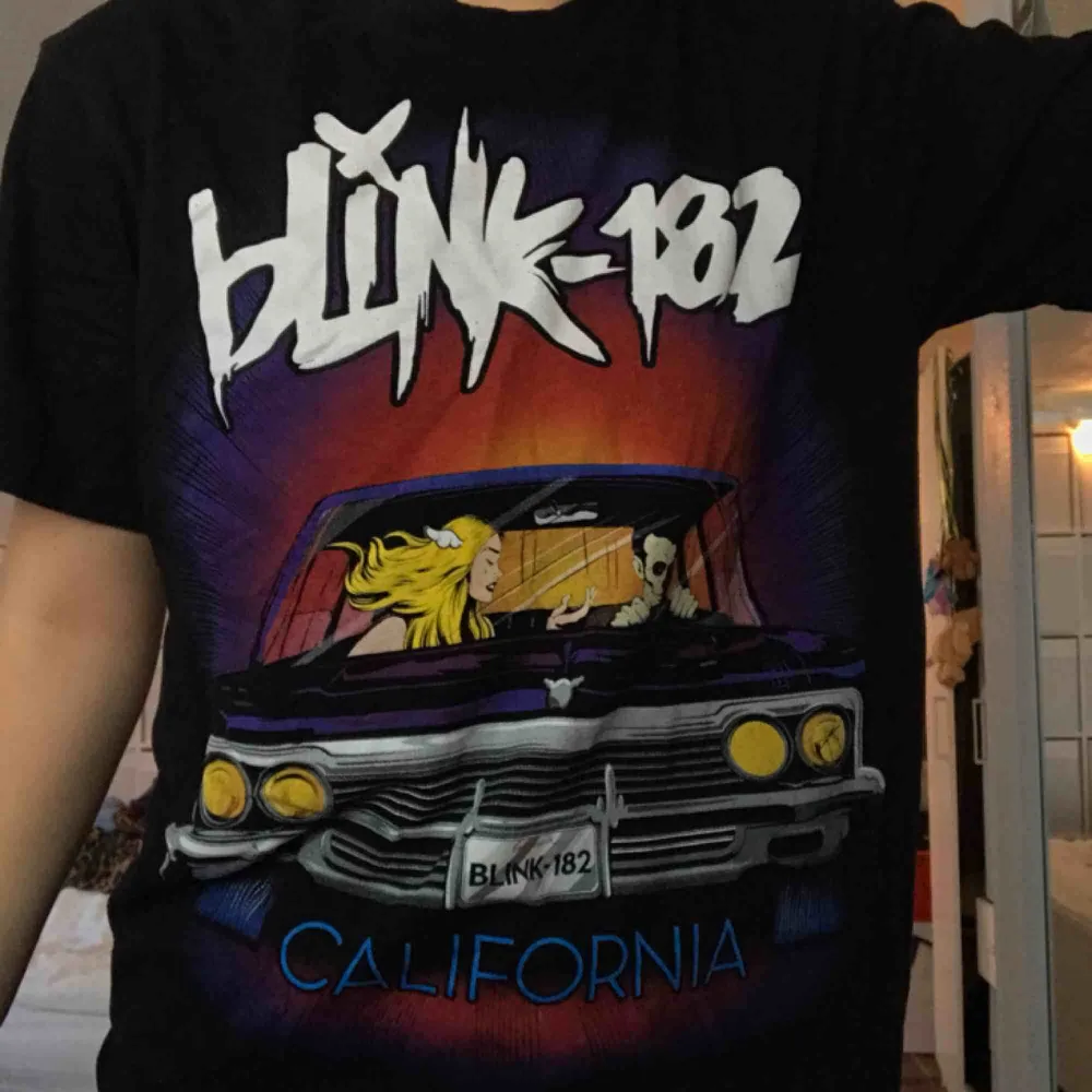 Blink-182 T-shirt som är använd max 5 gånger. Den sitter skitsnyggt och har coolt tryck på både fram-och baksida. Köparen står för eventuell frakt!. T-shirts.