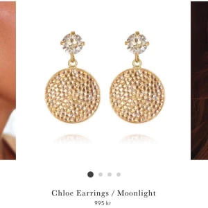 Örhängen från Caroline Svedbom  - Superfina lite lyxigare örhängen från Caroline svedbom. Fick dom för ca 1,5 år sen men har aldrig använts, plastplupparna sitter kvar som ” bevis ” för det. Dom är helt enkelt i perfekt skick. Köpta för 995 kr. 