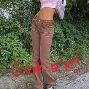 söker dessa bruna byxorna som heter ”jada pants” eller ”dalene pants” från brandy melville i storlek S!! Skriv om du säljer så kan vi diskutera ett rimligt pris😙😙😙