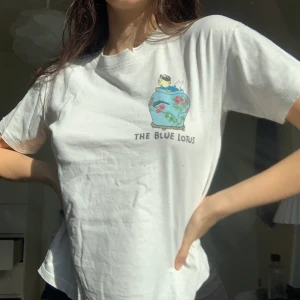  vintage tshirt  - storlek står inte men sitter som S. fraktar eller möts upp i gävle 