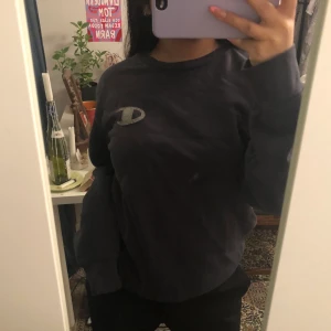 champion sweatshirt - snygg, vintage champion sweatshirt. använd fåtal gånger. köparen står för frakten! 