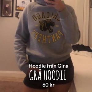 Grå Hoodie Gina Tricot  - En så skön grå Hoodie från Gina Tricot stl S men passar även XS Använd en del men väldigt bra skick! Köpt för 300kr säljer för 60kr 