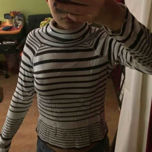  - En brun o vit randig turtleneck/polo tröja. Knappt använd och i fint skick. 